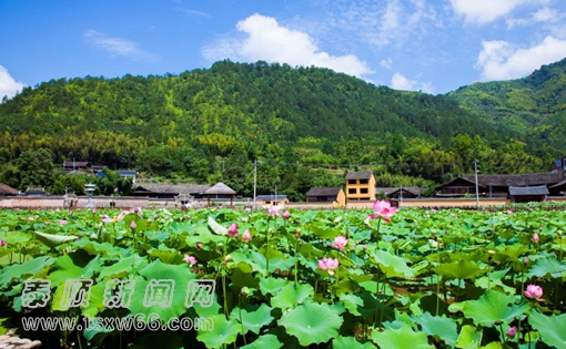 �ҿh����2��(g��)��(gu��)�Ҽ�(j��)�ٔ�(sh��)������ɫ��կ