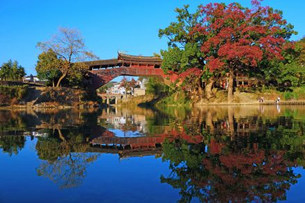 ���Ř��z�䡷