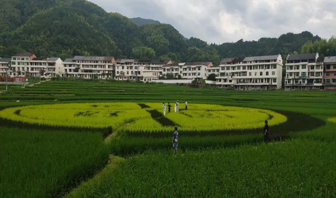 �ҿh����20��(g��)�㽭ʡA��(j��)���^(q��)���f